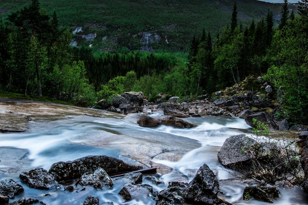 Górski krajobraz doliny strumienia Rzeka creek w górach