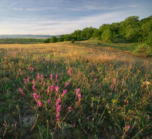 Górski krajobraz natura