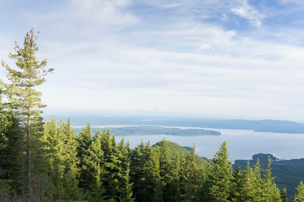 Górski krajobraz Olimpijskiego Parku Narodowego z Mount Rainier