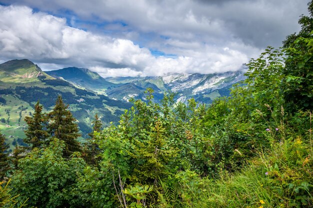 Górski Krajobraz W Grandbornand Hautesavoie France