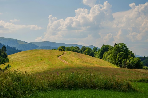 Zdjęcie górski krajobraz wiejski krajobraz piękne widoki na góry w lecie zielone drzewa i piękne pochmurne niebo
