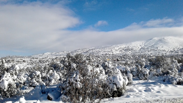 górski krajobraz z dużą ilością śniegu