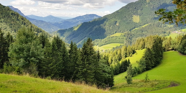 Górski krajobraz z zielonym polem i drzewami na pierwszym planie i pochmurnym niebem w tle.