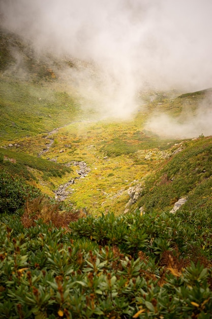 Górski pas z widocznymi sylwetkami w porannej mgle