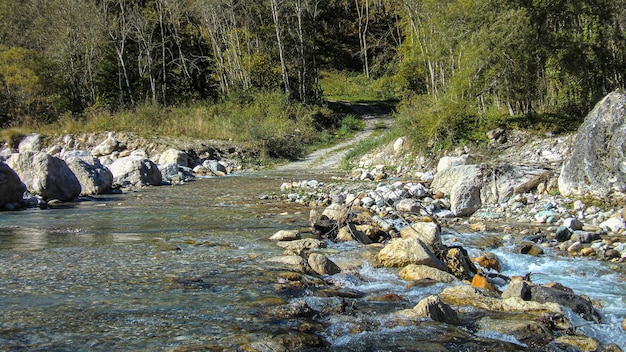 Górski potok w dolomitach z płynącą wodą