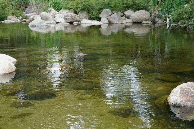 Górski potok w sezonie letnim