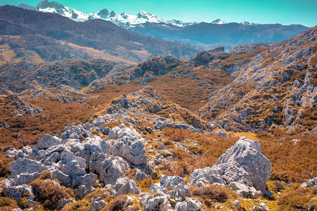 Górski skalisty krajobraz Góry Kantabryjskie Park Narodowy Picos de Europa Hiszpania Europa