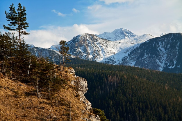 Górski śnieżny krajobraz ze skałą