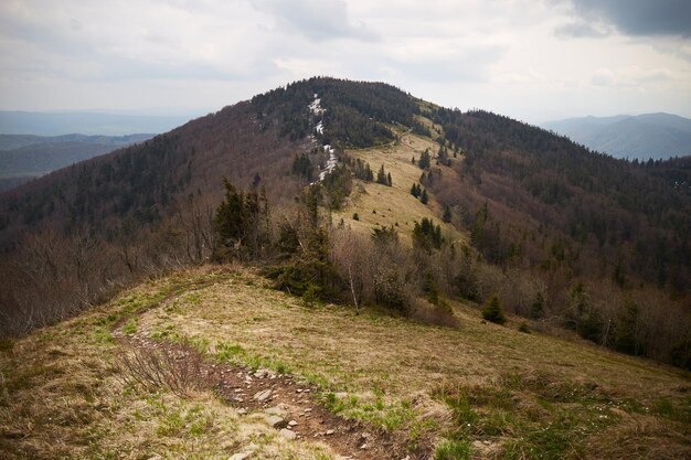 Górski szlak Wiosna w Karpatach Ukraina