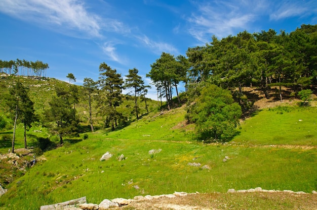 Górski turecki letni krajobraz ze skałami i zielonymi wzgórzami
