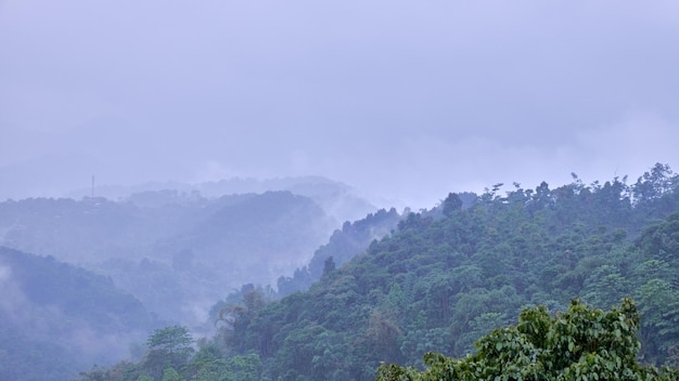 Górski widok na dolinę mgły i chmur, Bogor, Indonezja