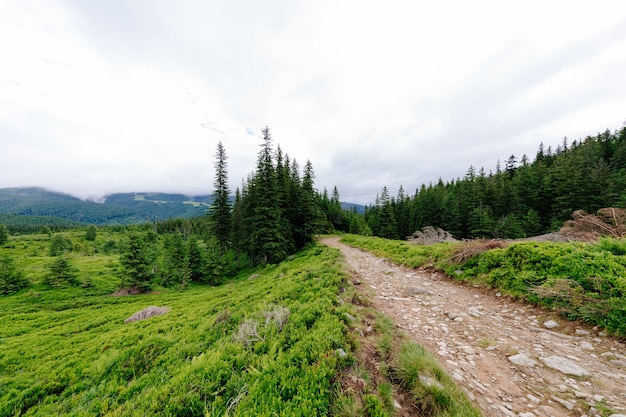 Górski wzgórze ścieżka droga panoramiczny krajobraz