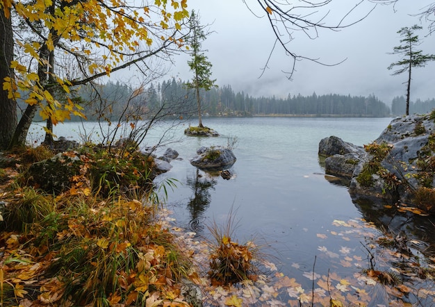 Górskie alpejskie jesienne jezioro Hintersee Park narodowy Berchtesgaden Deutschland Alps Bawaria Niemcy