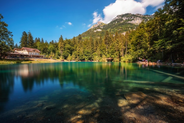 Górskie jezioro blausee w regionie jungfrau w szwajcarii