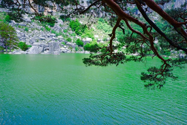 Górskie Jezioro Laguna Negra W Vinuesa Soria Hiszpania Krajobraz Leśny W Ciągu Dnia