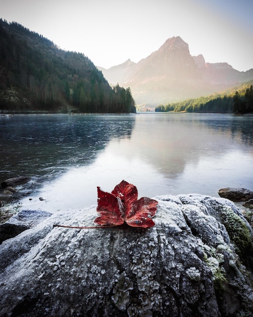 Zdjęcie górskie jezioro obersee