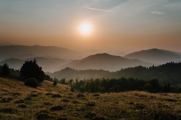 Góry i zachód słońca Karpaty Ukraina. mgła półka góry, piękny zachód słońca nad szeroką doliną. Na horyzoncie drzewa. Linia nieba samolotów. Mgła w górach. Słońce świeci