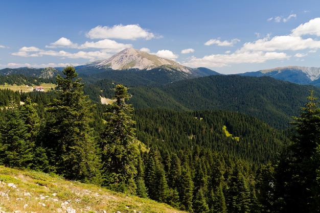 Góry Ilgaz Kastamonu Turcja