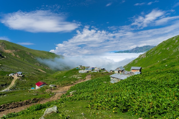 Góry Kackar Rize Turcja