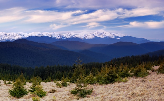 Góry Karpaty, Ukraina