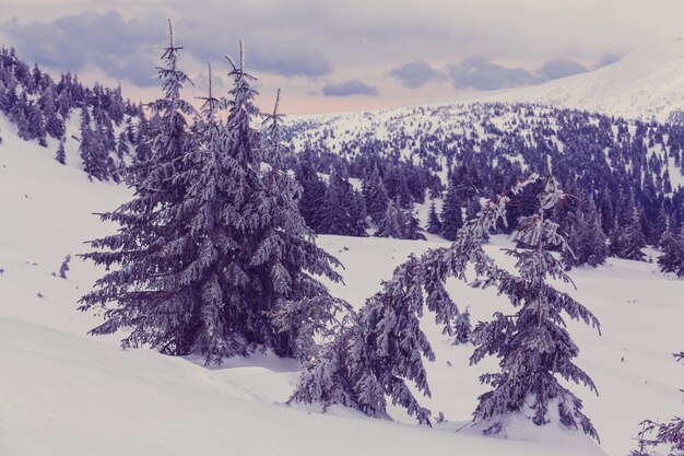 Góry Karpaty