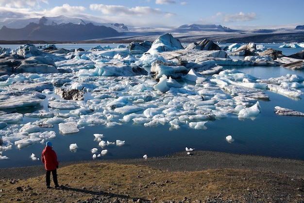 Góry lodowe w lagunie lodowcowej Jokulsarlon na południu Islandii