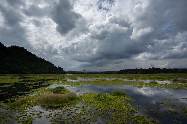 Góry Otaczające Jezioro Kiew Lom Dam Lampang Tajlandia