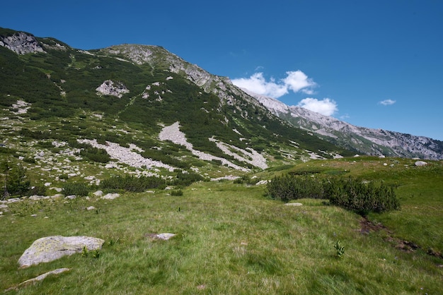 Góry Pirin w letni dzień Bansko Bułgaria