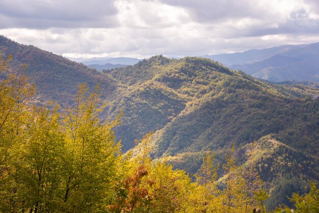Góry pokryte jesienią kolorowym lasem