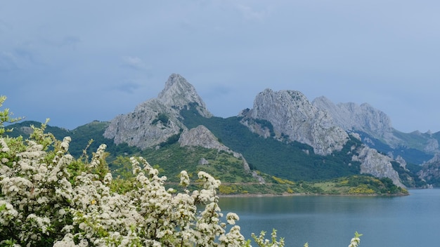 Góry Riano z drzewem wiśni nad jeziorem