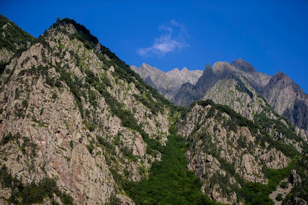 Góry Skaliste z roślinnością na tle nieba Krajobraz górski