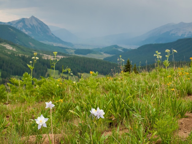 Góry w Crested Butte w stanie Kolorado.