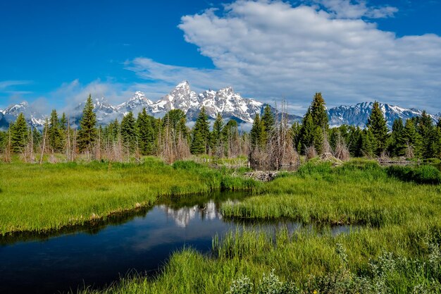 Góry w Parku Narodowym Grand Teton z odbiciem w Snake River