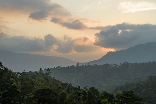 Góry W środkowej Części Sri Lanki W Pobliżu Nuwara Eliya