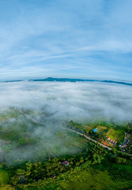 Góry we mgle w piękną jesień w Phetchabun Tajlandia Mgła górska dolina niskie chmury las kolorowe niebo z sosnami w świerkowym mglistym lesie z jasnym wschodem słońca