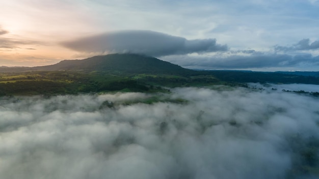 Góry We Mgle W Piękną Jesień W Phetchabun Tajlandia Mgła Górska Dolina Niskie Chmury Las Kolorowe Niebo Z Sosnami W świerkowym Mglistym Lesie Z Jasnym Wschodem Słońca