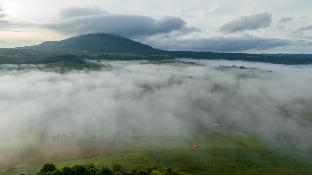 Góry we mgle w piękną jesień w Phetchabun Tajlandia Mgła górska dolina niskie chmury las kolorowe niebo z sosnami w świerkowym mglistym lesie z jasnym wschodem słońca