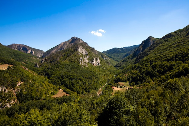 Góry, wokół kanionu rzeki Tara, Czarnogóra