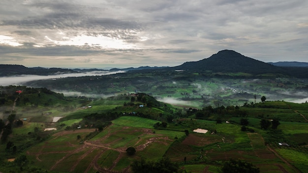 Góry z drzewami i mgłą w Tajlandii