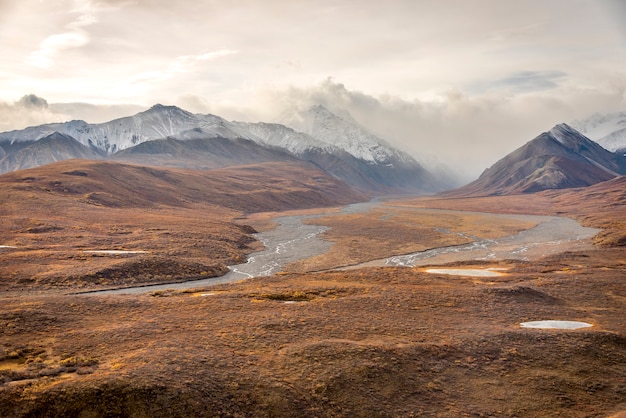 Zdjęcie góry z góry śniegu krajobraz w denali national park, alaska