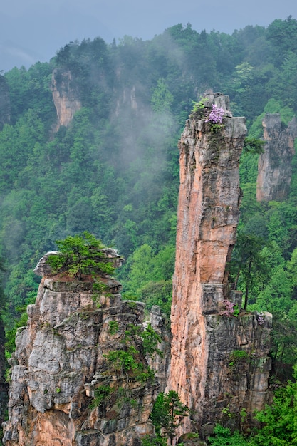 Góry Zhangjiajie, Chiny