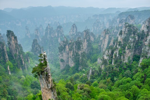 Góry Zhangjiajie, Chiny