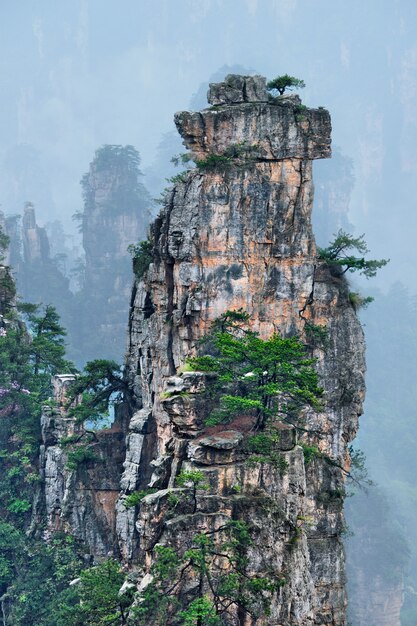 Zdjęcie góry zhangjiajie, chiny