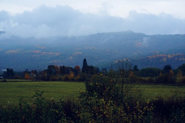 Zdjęcie góry zielona trawa góry mgła podróży charakter