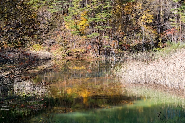 Goshiki-numa Urabandai Fukushima Autumn Japan