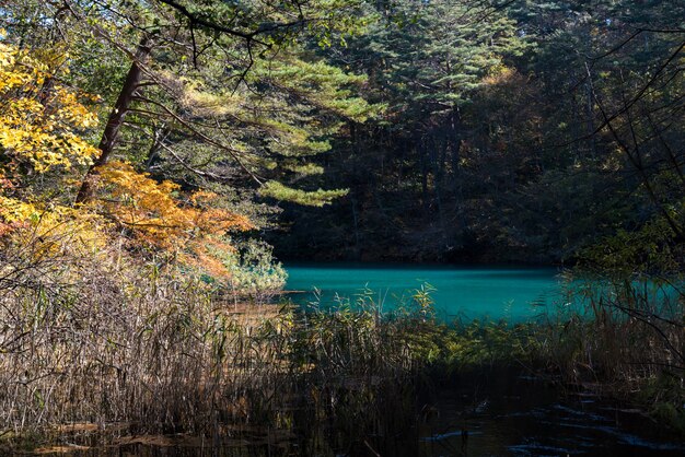 Goshiki-numa Urabandai Fukushima Autumn Japan