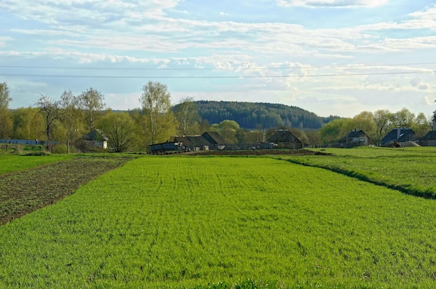 Zdjęcie gospodarstwo rolne na wsi z zielonym polem i drzewami w tle