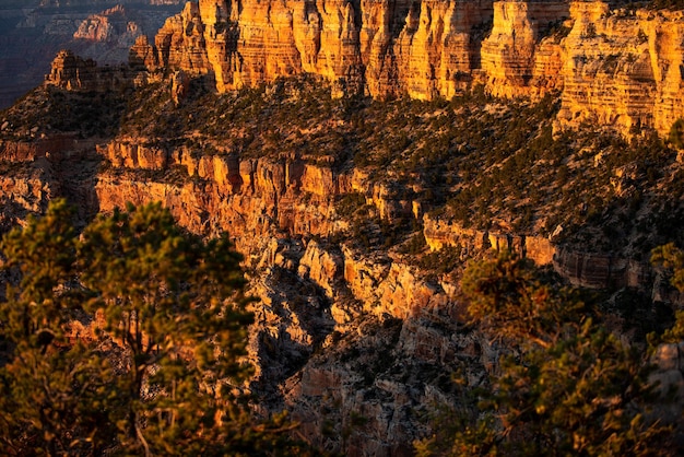 Grand Canyon północna krawędź na Golden Sunset Canyon National Park Canyonlands pustynny krajobraz kanion są