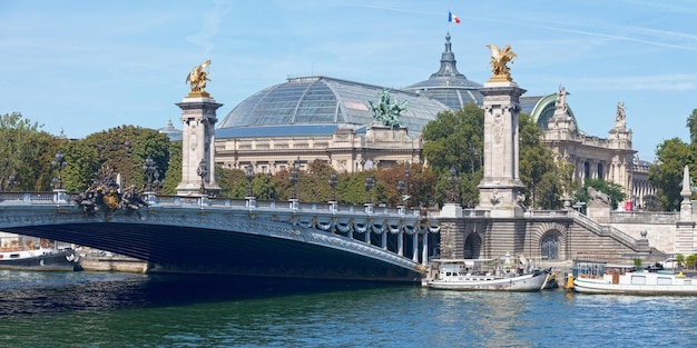 Grand Palais i Pont Alexandre III w Paryżu