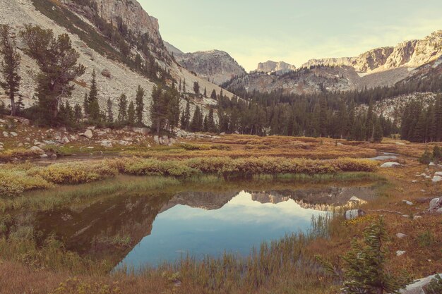 Grand Teton